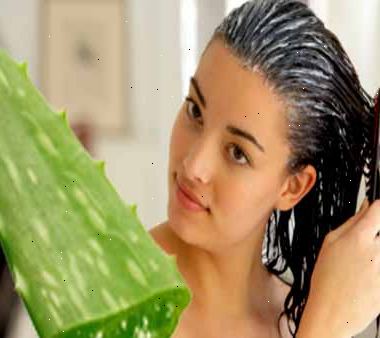 Sådan betingelse dit hår med aloe vera. Skær to eller tre store, tykke blade fra aloe plante.